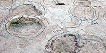 Overhead view of fossilized dinosaur footprints pressed into a flat rock surface.